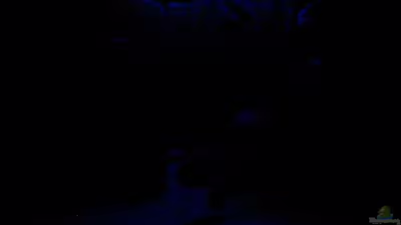 Mondlicht #1 von Deutschmaschine (6)