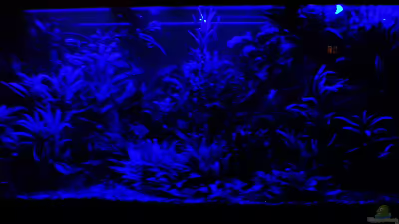 Mondlicht 15.03.2018 von Reiner Dr. Med. Jesse (18)