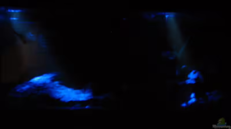 Mondlicht 2 von Marco B. (7)