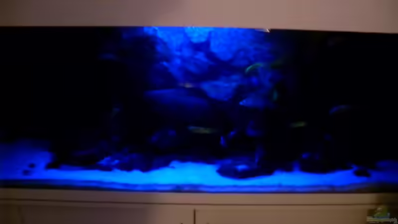 Mondlicht 21-1:00 von Dr. Manhattan (3)