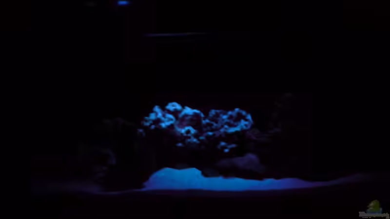 Mondlicht auf 73% von O.K. (10)