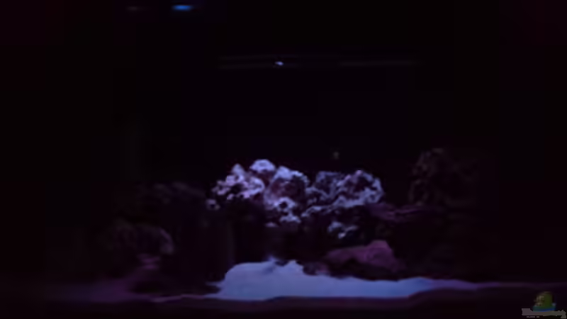 Mondlicht auf 95% von O.K. (12)