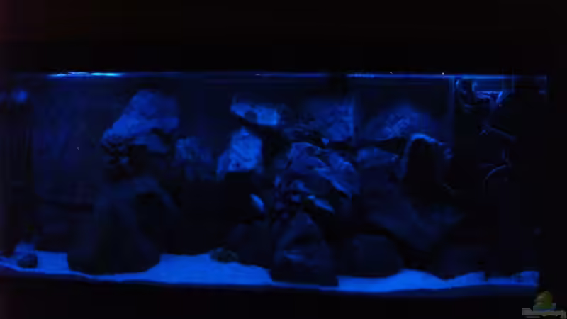 Mondlicht auf Stufe 2 von Vision112 (3)