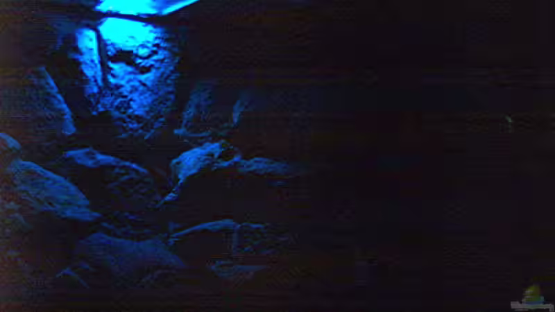 Mondlicht bei Nacht, ohne weitere Lichtquelle von Robert Dietrich (2)