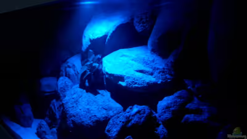 Mondlicht Bess Electronics von Roland Elsenbruch (12)