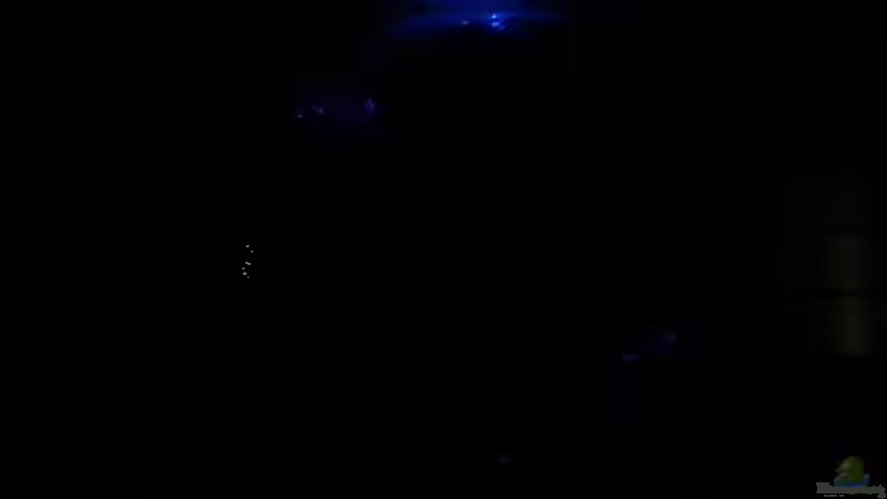 Mondlicht blau von Michael Boeck (24)