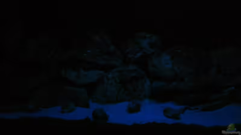 Mondlicht (Kaltlichtkathode 52cm) von Oliver Knönagel (4)