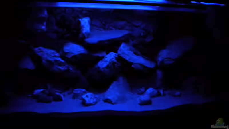 Mondlicht Mitte alt von Herki (6)