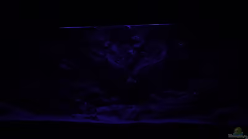 Mondlicht ohne Wassser im Becken von DER YBBSTALER (61)