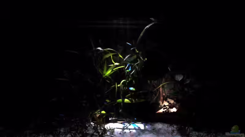 mondlicht selbst gelötet 3 weiße LED´s / 1 blaue LED von Andreas Sperk (12)