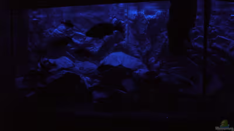 Mondlicht Simulation (1) von Marcel. (9)