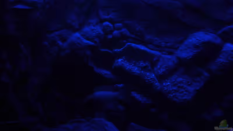 Mondlicht Simulation (4) von Marcel. (12)