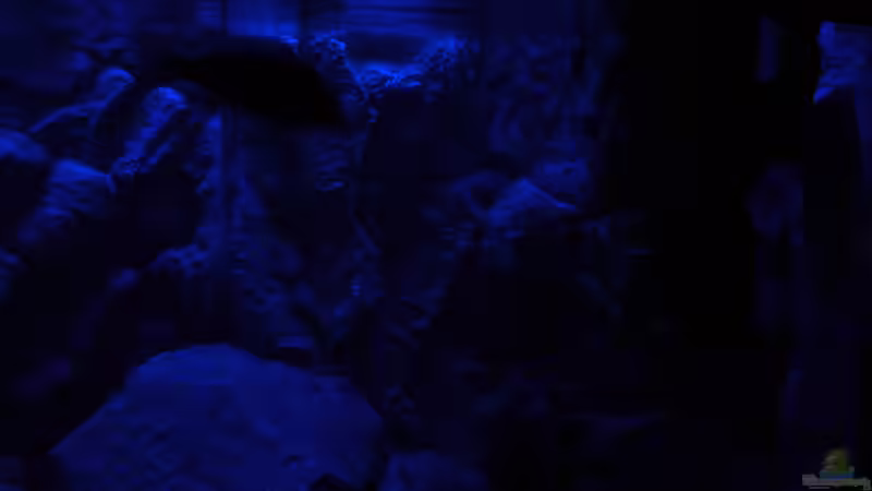 Mondlicht Simulation (5) von Marcel. (13)