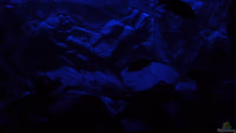 Mondlicht Simulation (6) von Marcel. (14)