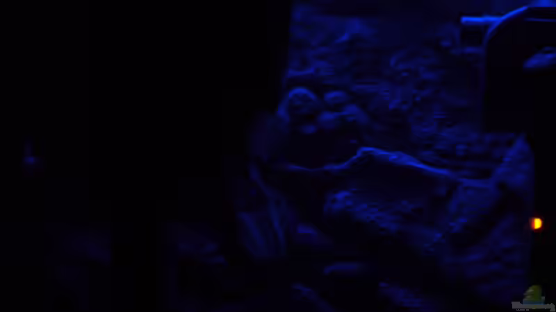 Mondlicht Simulation (7) von Marcel. (15)