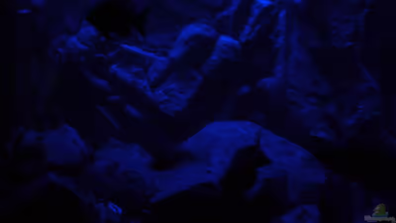 Mondlicht Simulation (8) von Marcel. (16)