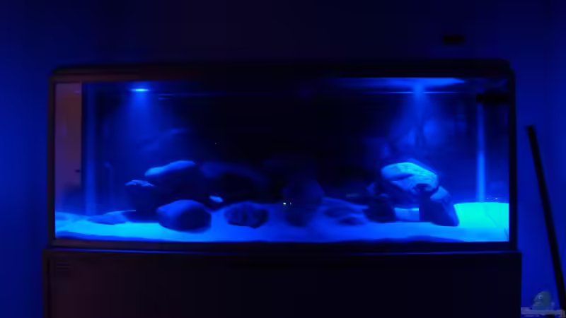 Mondlicht-Spots 5 LEDs von MalawiHB (10)