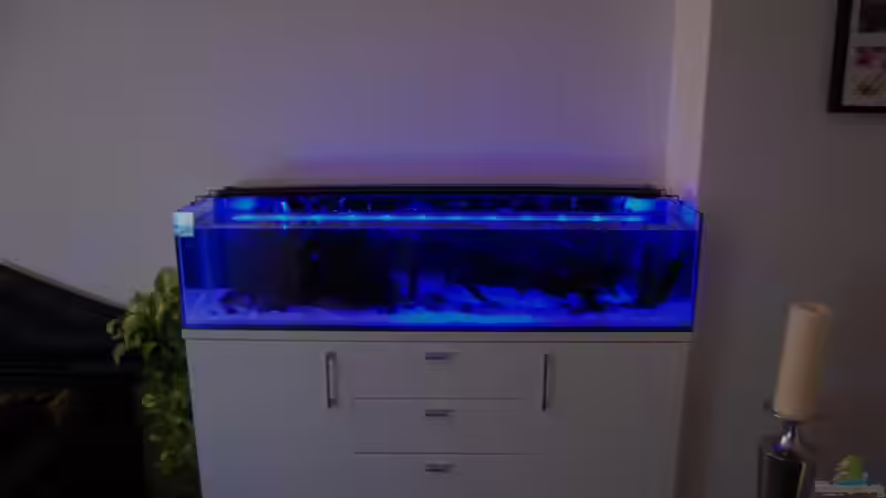 Mondlicht-Test von Berlin42 (14)