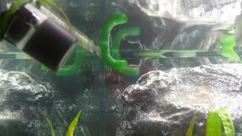 Mondlicht,und die Ausläufe der 2 Pumpen von Hedylein (11)