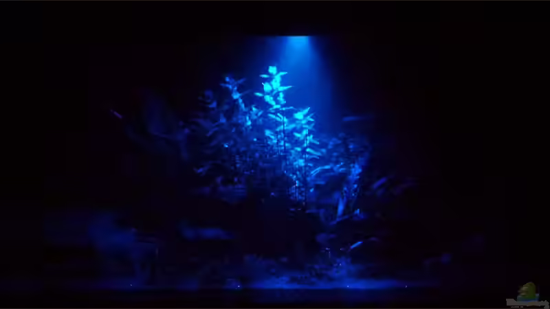 Mondlicht von _ME_ (13)