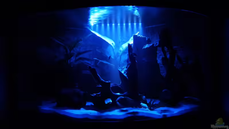 Mondlicht von 1887woeh (2)