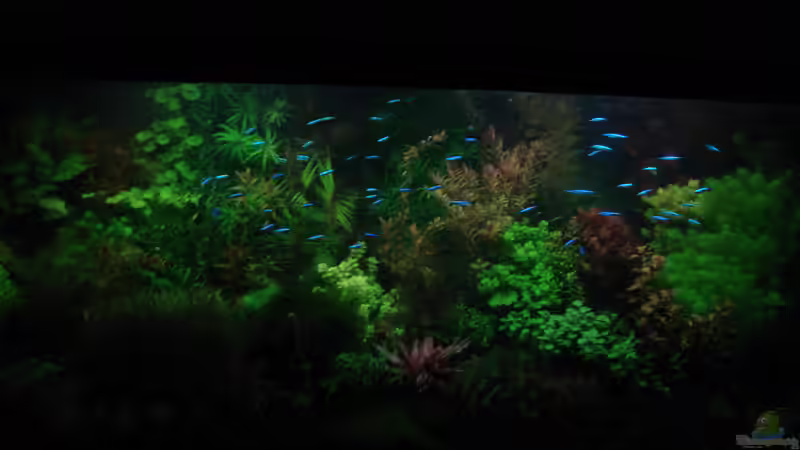 Mondlicht von achim-cool (4)