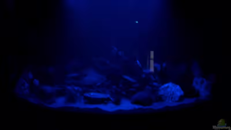 Mondlicht von Andre Schreiter (2)