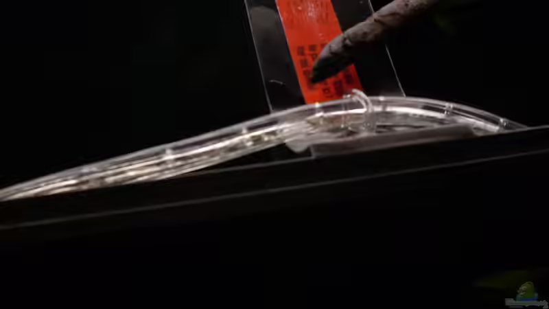 Mondlicht von @quarium Cologne (62)