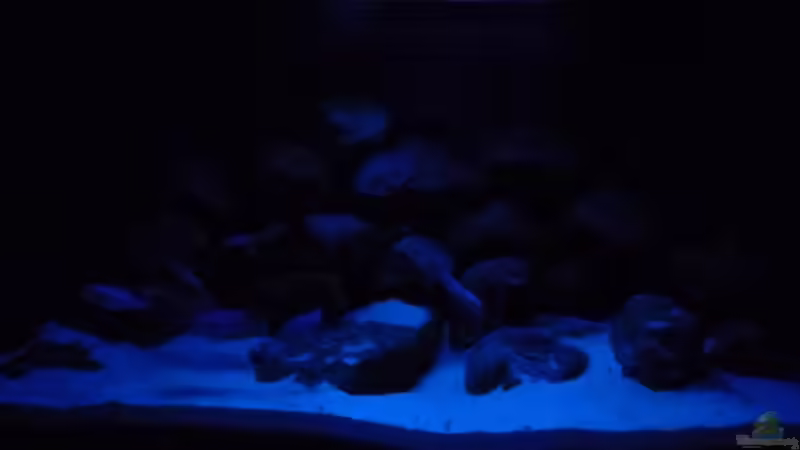 Mondlicht von caoz78 (3)