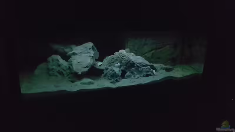 Mondlicht von Charmin (22)