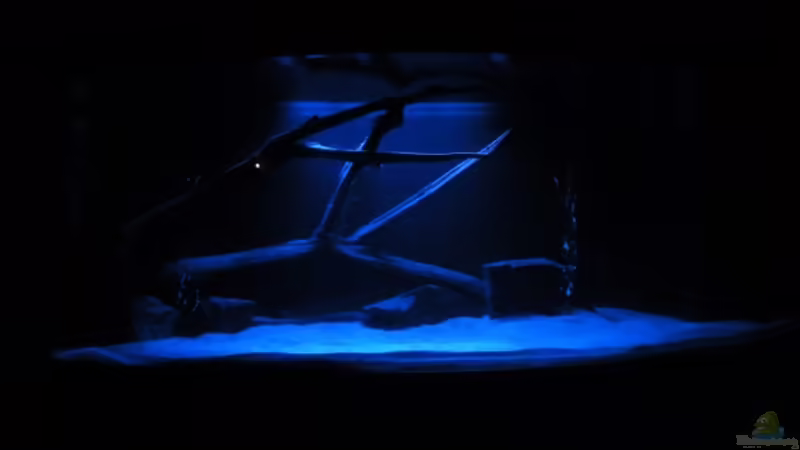 Mondlicht von Christoph904 (4)