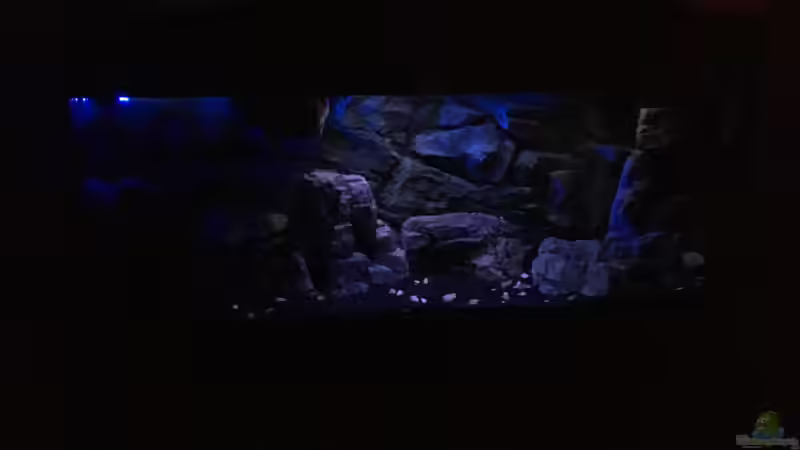 Mondlicht von Daniel H. (21)