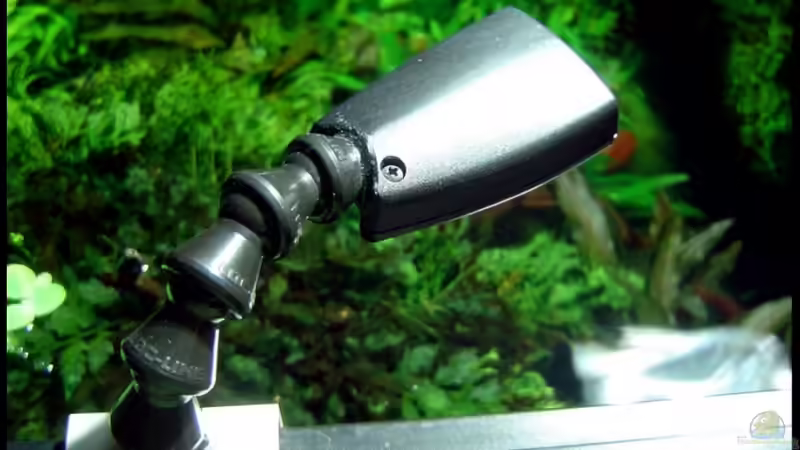 Mondlicht von David Weidenbacher (32)