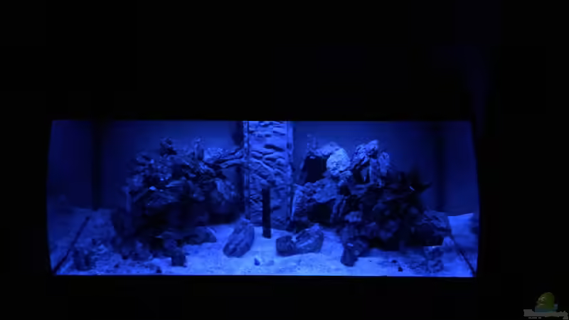 Mondlicht von dennel (4)