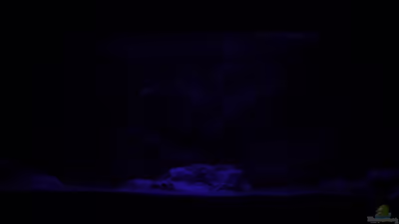 Mondlicht von DER YBBSTALER (25)