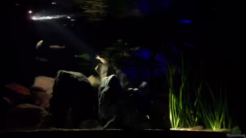 Mondlicht von Detlef Lehmann (5)