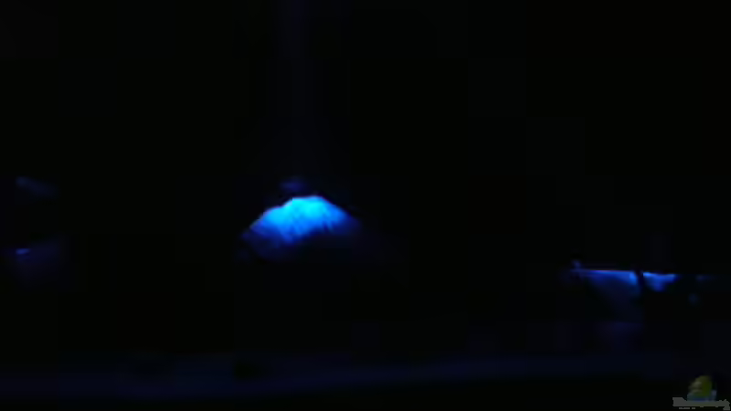 Mondlicht von djhitek (2)