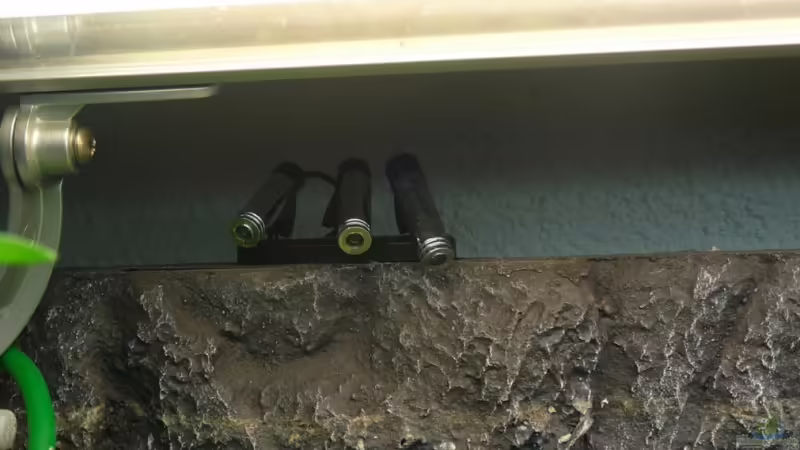 Mondlicht von *Dominique* (17)