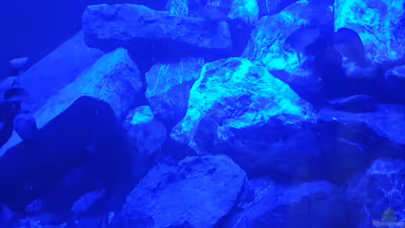 Mondlicht von EliJac (29)