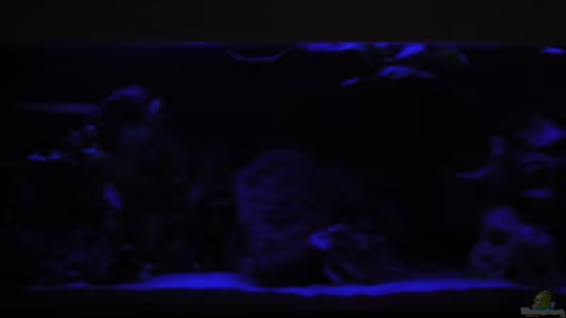 Mondlicht von ertzuio (4)