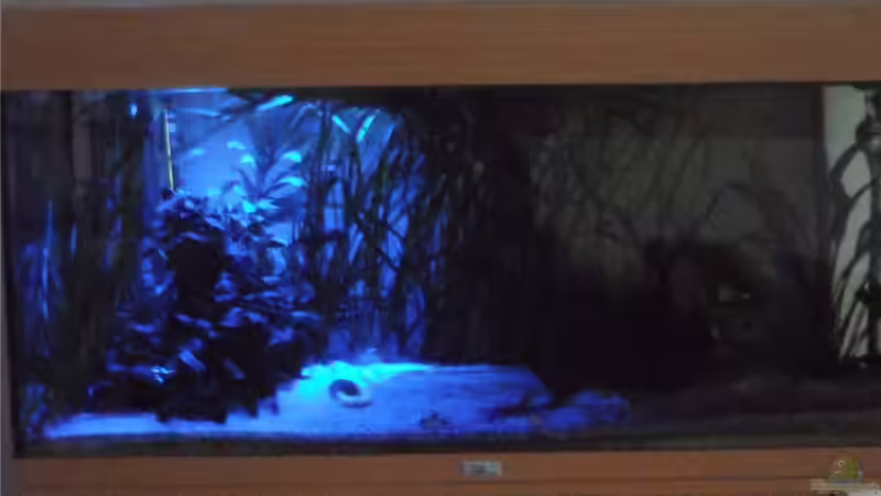 Mondlicht von Fabian Ber (21)