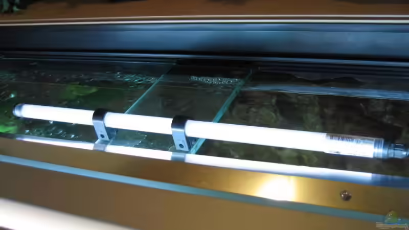 Mondlicht von Ferdinand Aichinger (18)