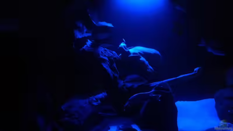 Mondlicht von flightsim (57)