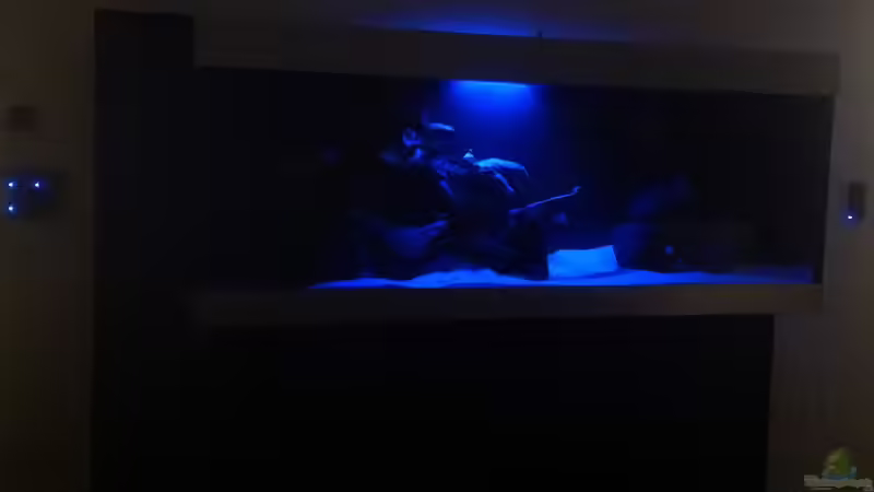 Mondlicht von flightsim (58)