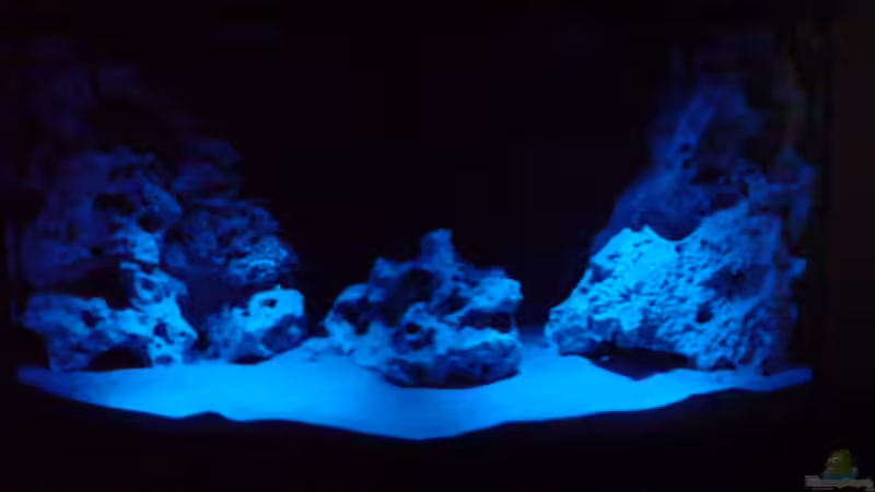 Mondlicht von Hannes (3)