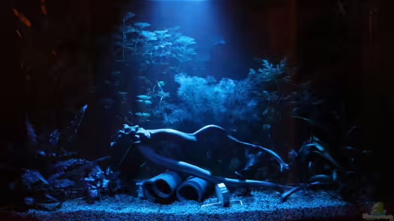 Mondlicht von Heiko Oeding (2)