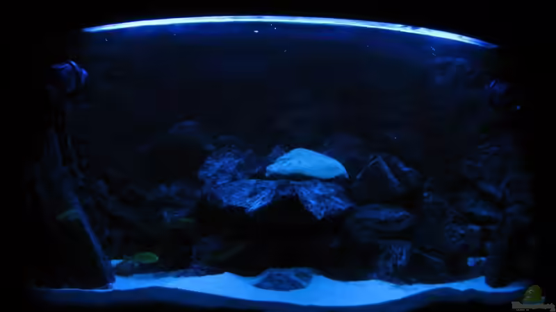 Mondlicht von HessiJames (3)