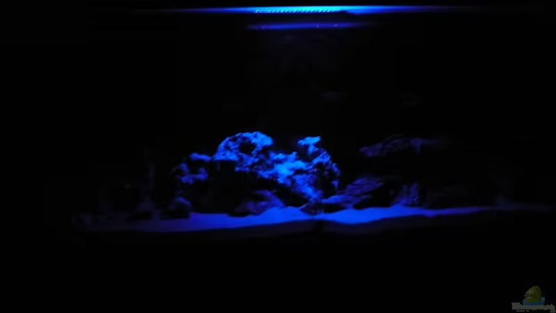 Mondlicht von janosch (5)