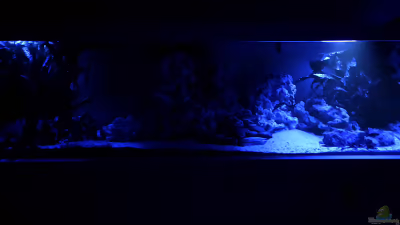 Mondlicht von Klaus G (4)