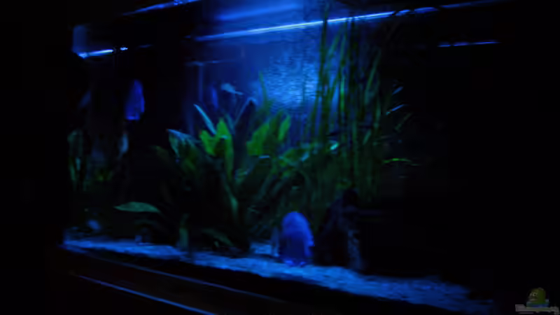 Mondlicht von Klaus Kastl (9)